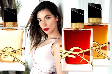 ysl libre purfume|ysl libre perfume collection.